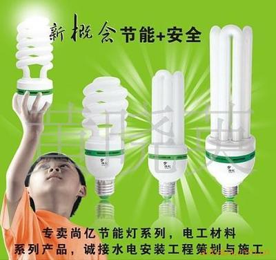 【大量供应灯都纯三基色出口12V/24V/36V/48/60/220V高效电子节能灯】价格,厂家,图片,其他灯具,黄晓英-